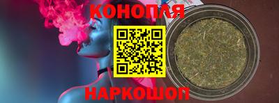 гидропоника Краснознаменск
