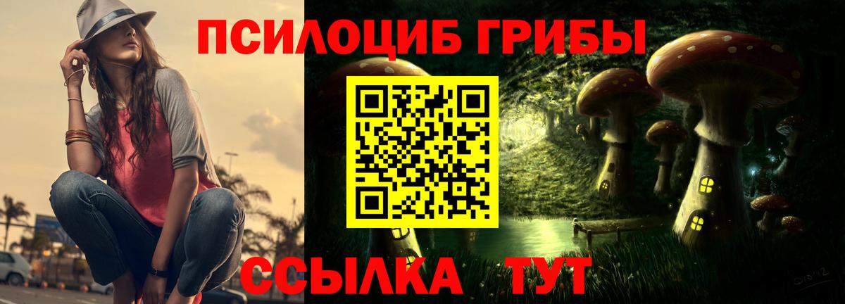 Галлюциногенные грибы Psilocybe  Псилоцибиновые грибы ЛСД  Троицк  Вход с VPN 